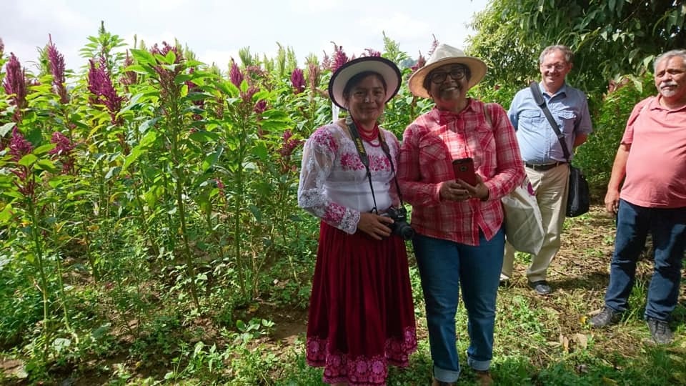 Lucinda Duy Quishpilema’s report on her Mexico Amaranth trip