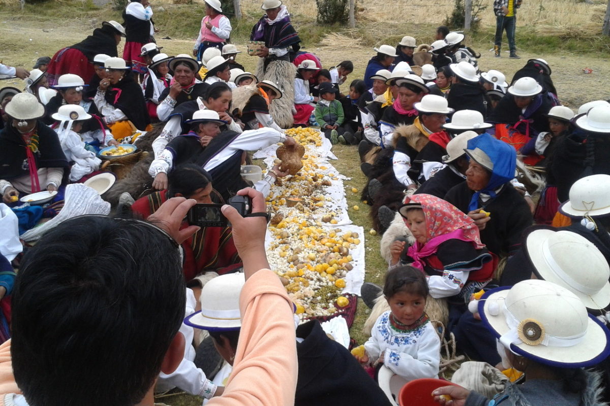 Asociación Mushuk Yuyay: Fair Purchase of Cañari 2020 Native Grain Harvest